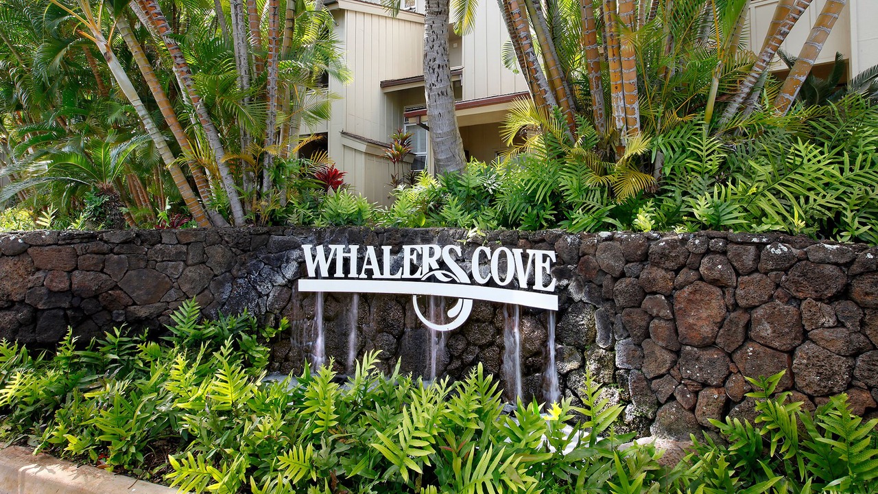 Photo of Others in Poipu