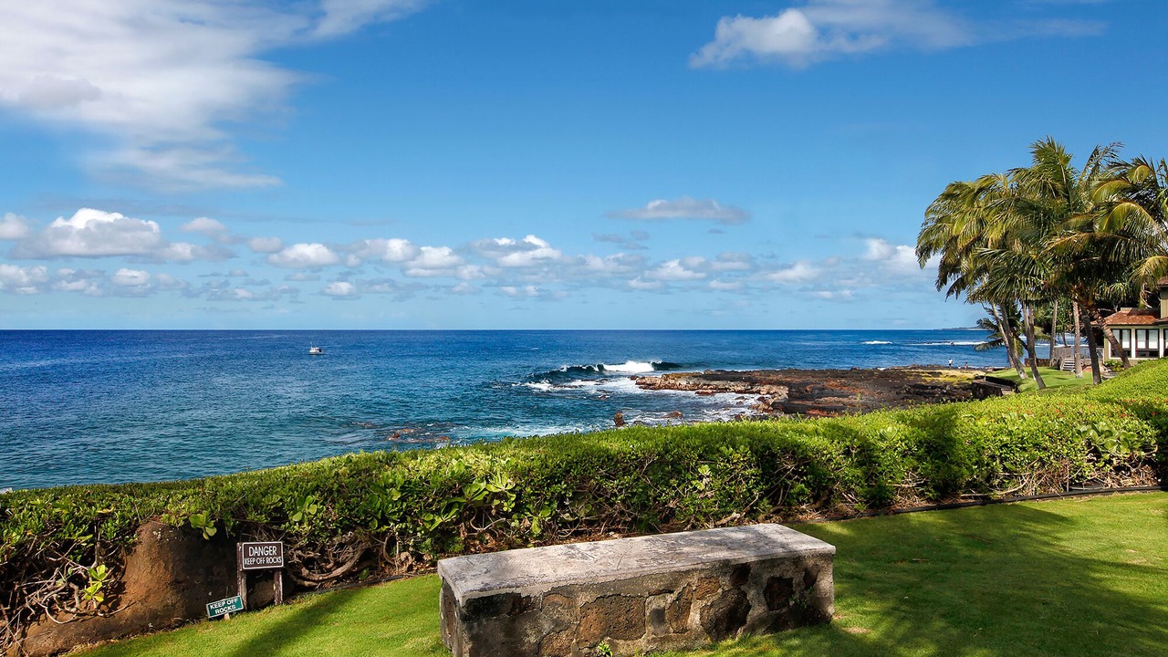 Photo of Others in Poipu