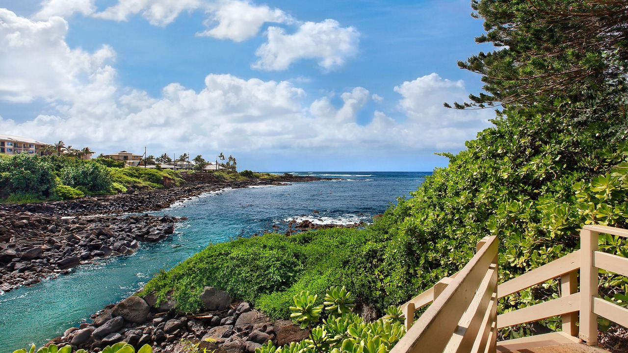Photo of Others in Poipu