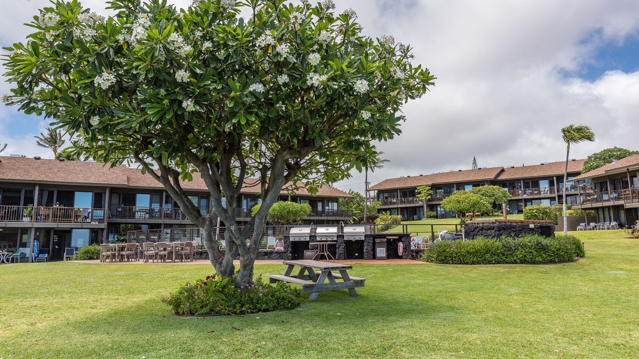 Photo of Others in Honokowai