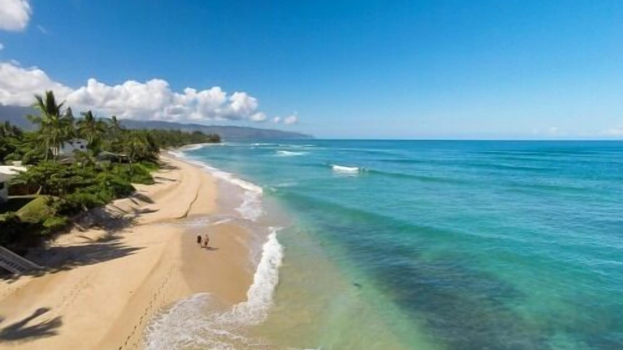 Photo of Others in Haleiwa
