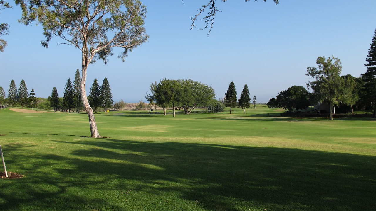 Photo of Others in Waikoloa