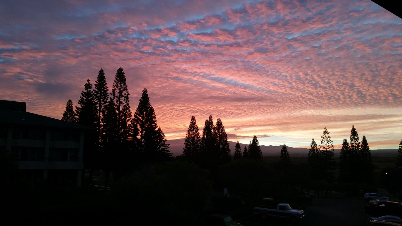 Photo of Others in Waikoloa