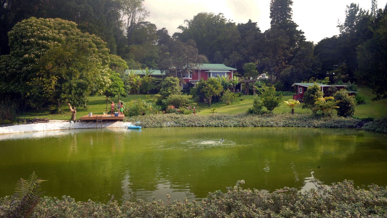 Photo of Others in Paauilo