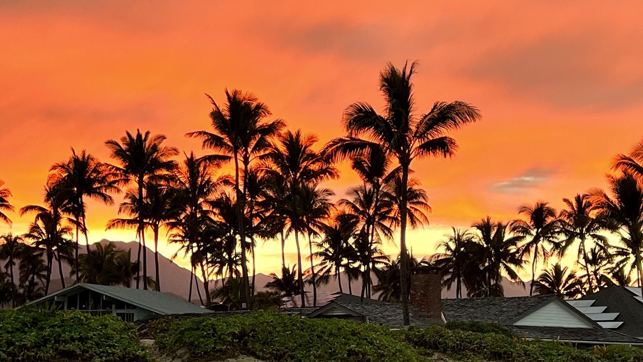 Photo of Others in Kailua