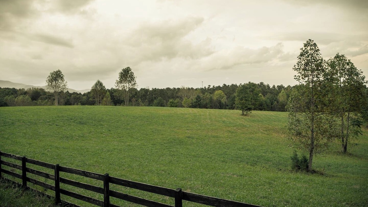Photo of Others in Tryon