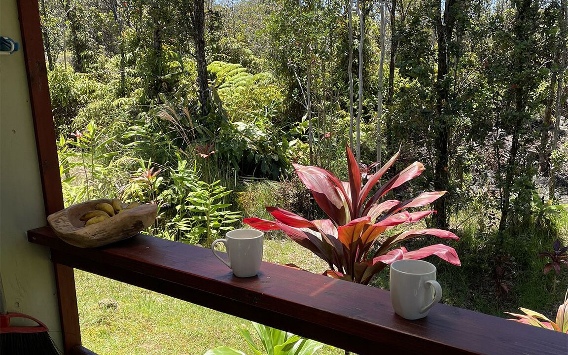 Photo of Outdoor in Volcano