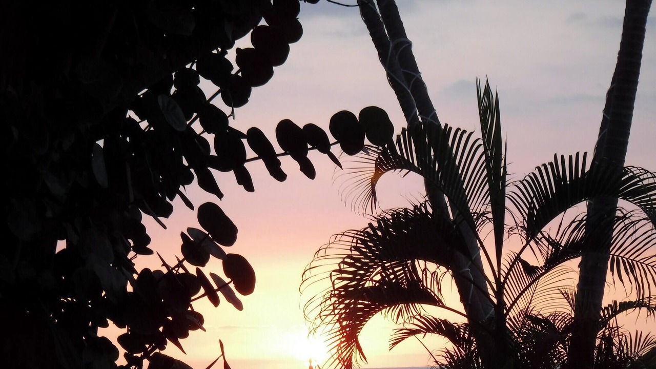 Photo of Outdoor in Kahaluu-Keauhou