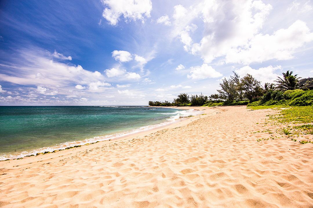 Photo of Others in Pupukea