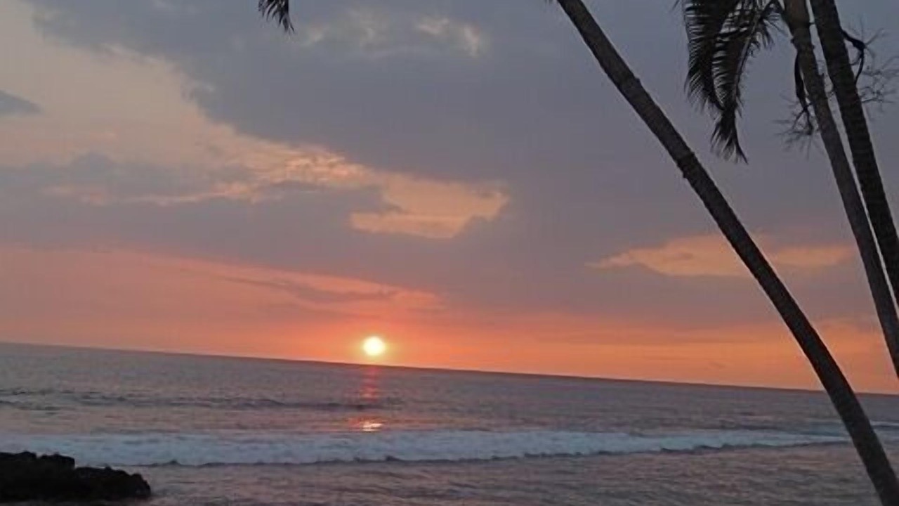 Photo of Others in Kahaluu Bay