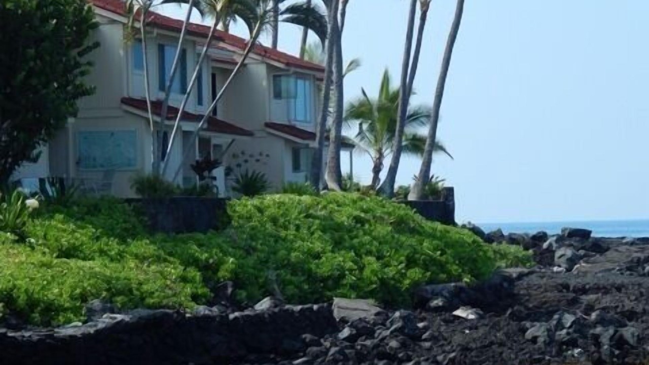 Photo of Others in Kahaluu Bay