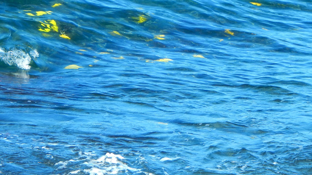 Photo of Others in Kahaluu Bay