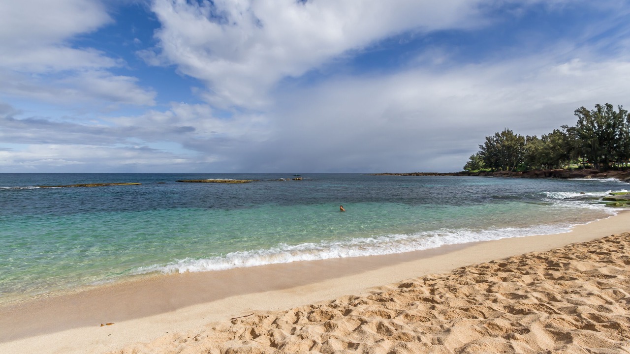 Photo of Others in Pupukea