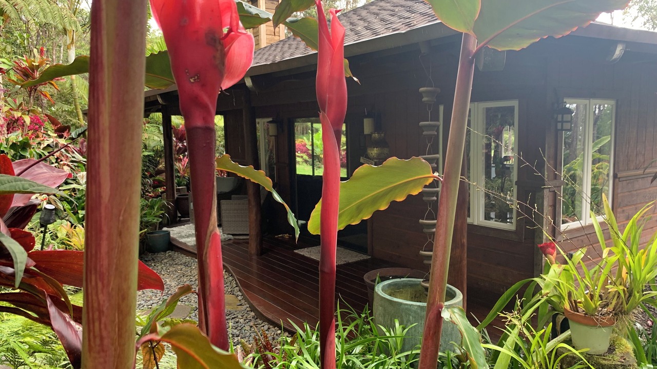 Photo of Outdoor in Kailua-Kona