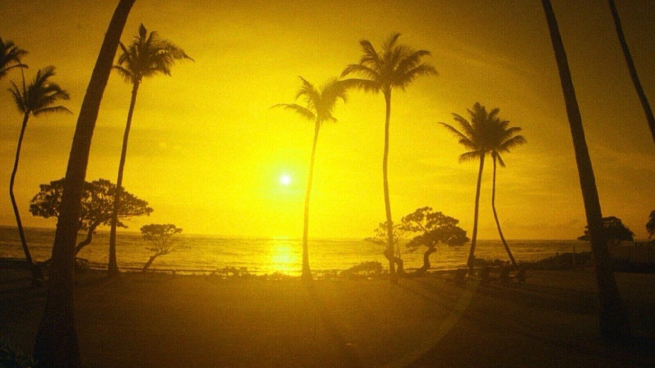 Photo of Others in Wailua