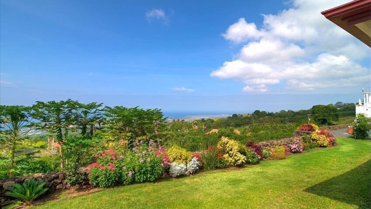 Photo of Outdoor in Holualoa