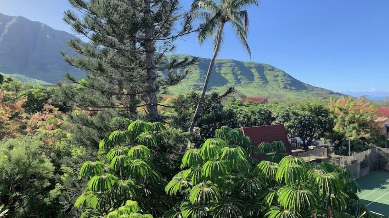 Photo of Others in Makaha Valley