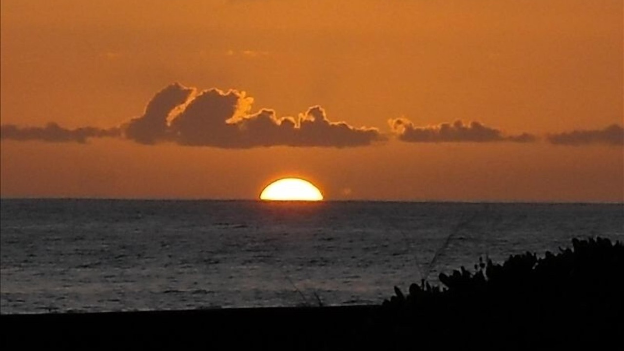 Photo of Others in Poipu