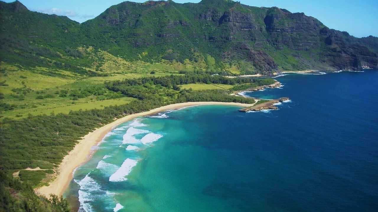 Photo of Others in Poipu