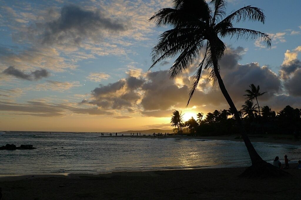 Photo of Others in Poipu