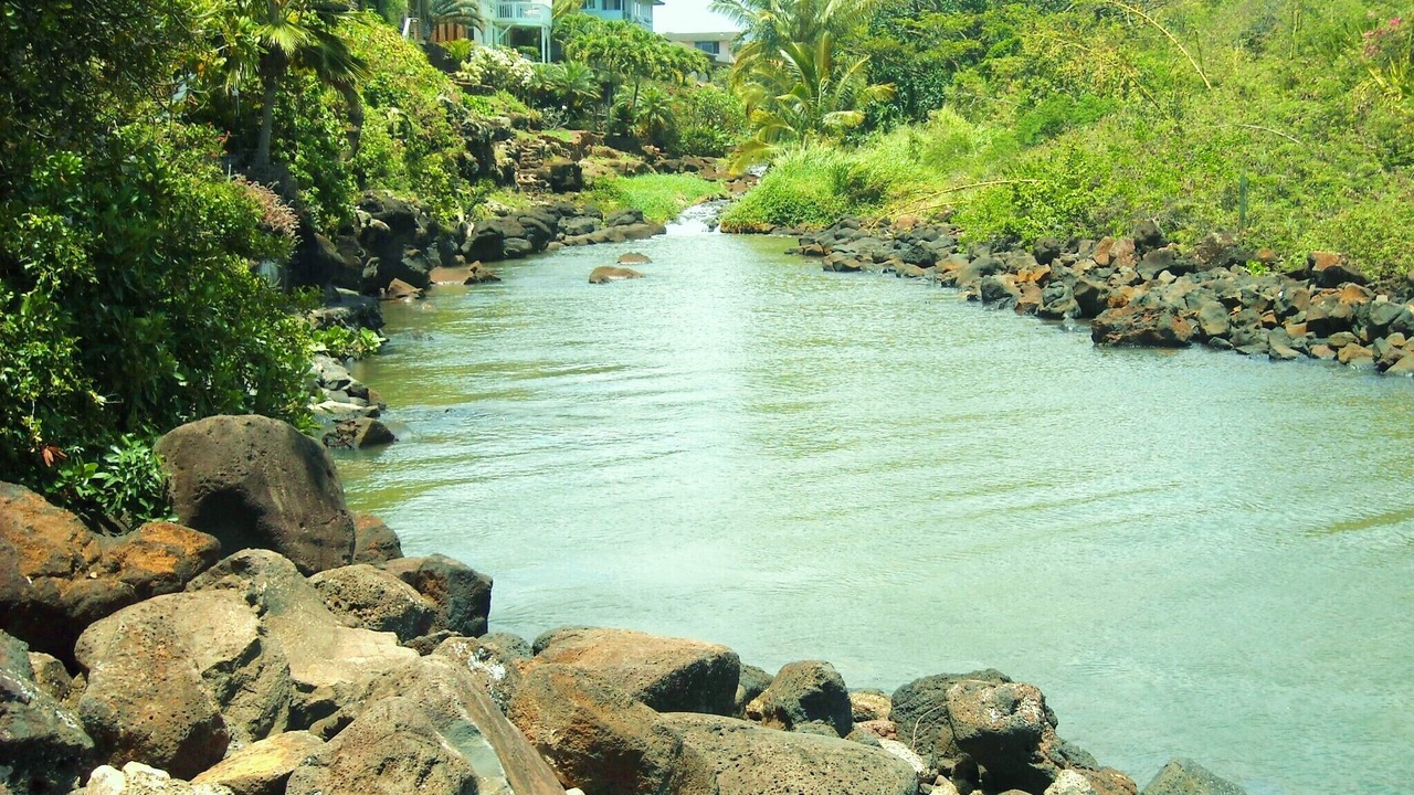 Photo of Others in Poipu