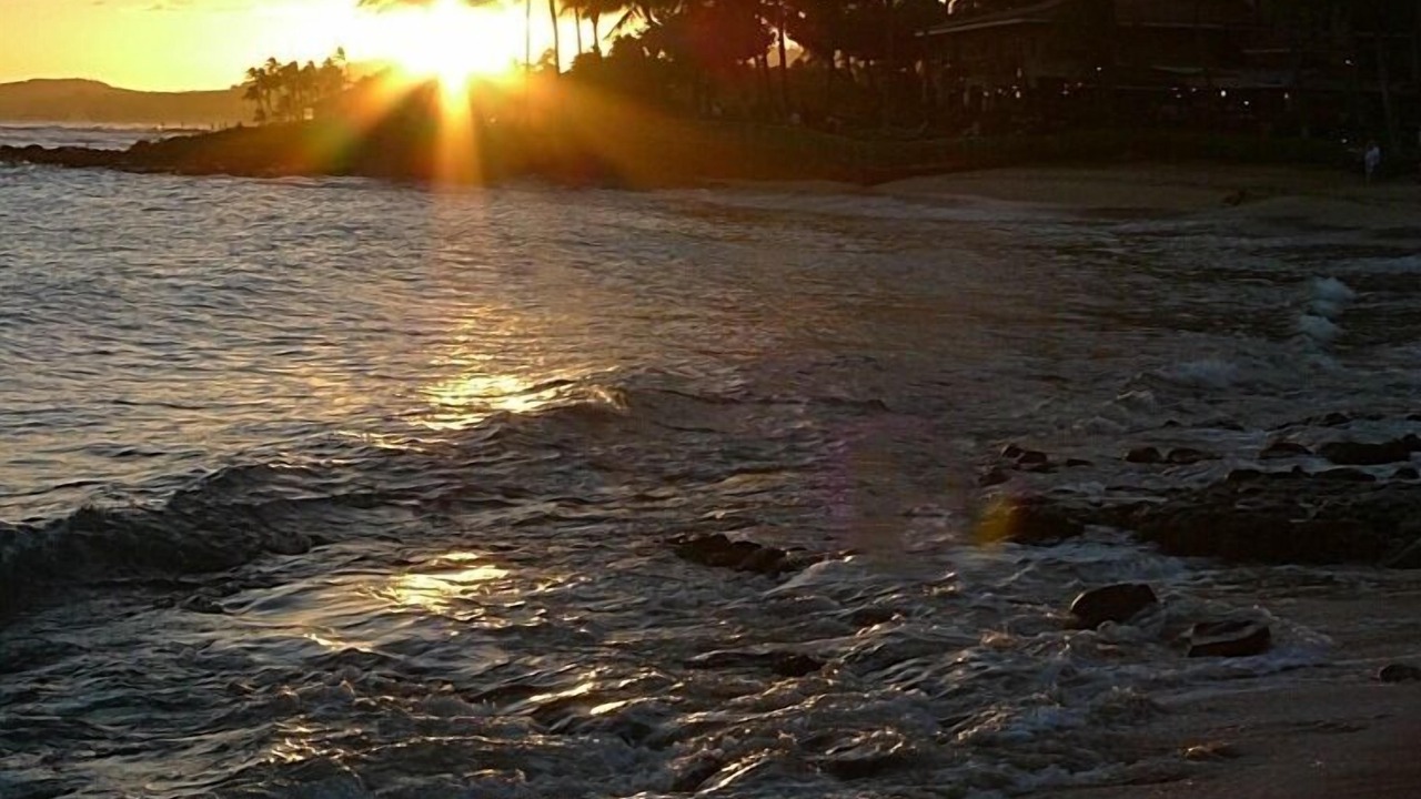 Photo of Others in Poipu