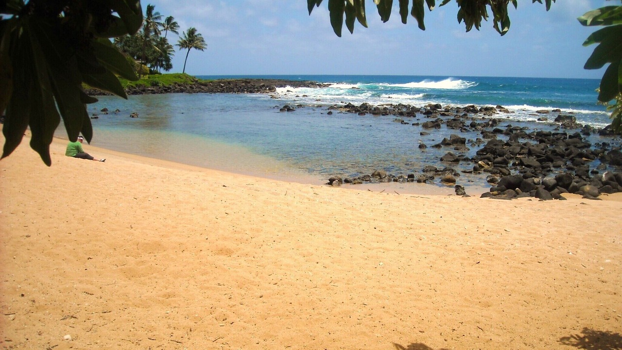 Photo of Others in Poipu