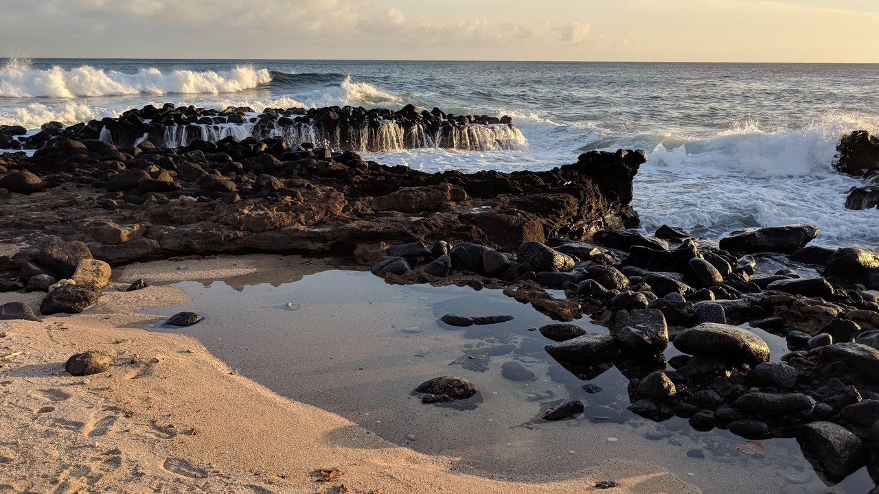 Photo of Others in Poipu