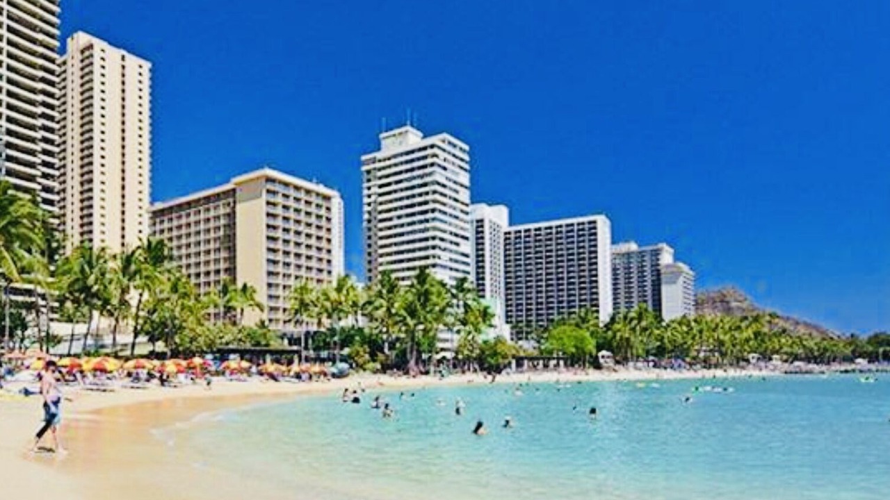 Photo of Others in Diamond Head - Kapahulu - St. Louis