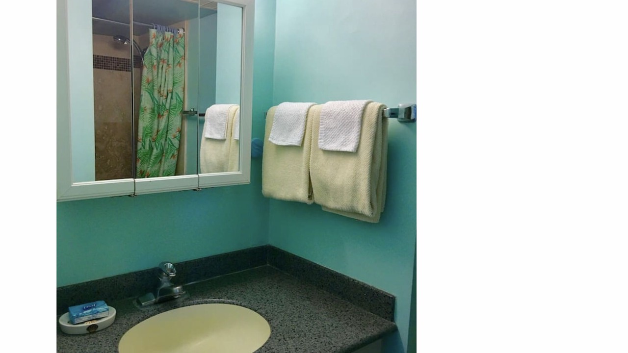 Photo of Bathroom in Diamond Head - Kapahulu - St. Louis
