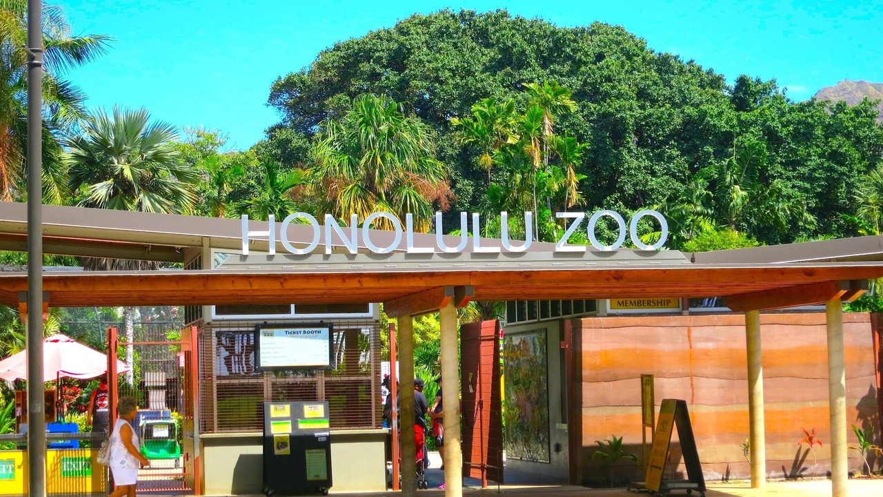 Photo of Others in Diamond Head - Kapahulu - St. Louis