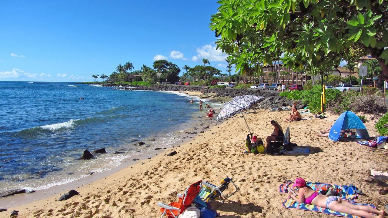 Photo of Others in Poipu