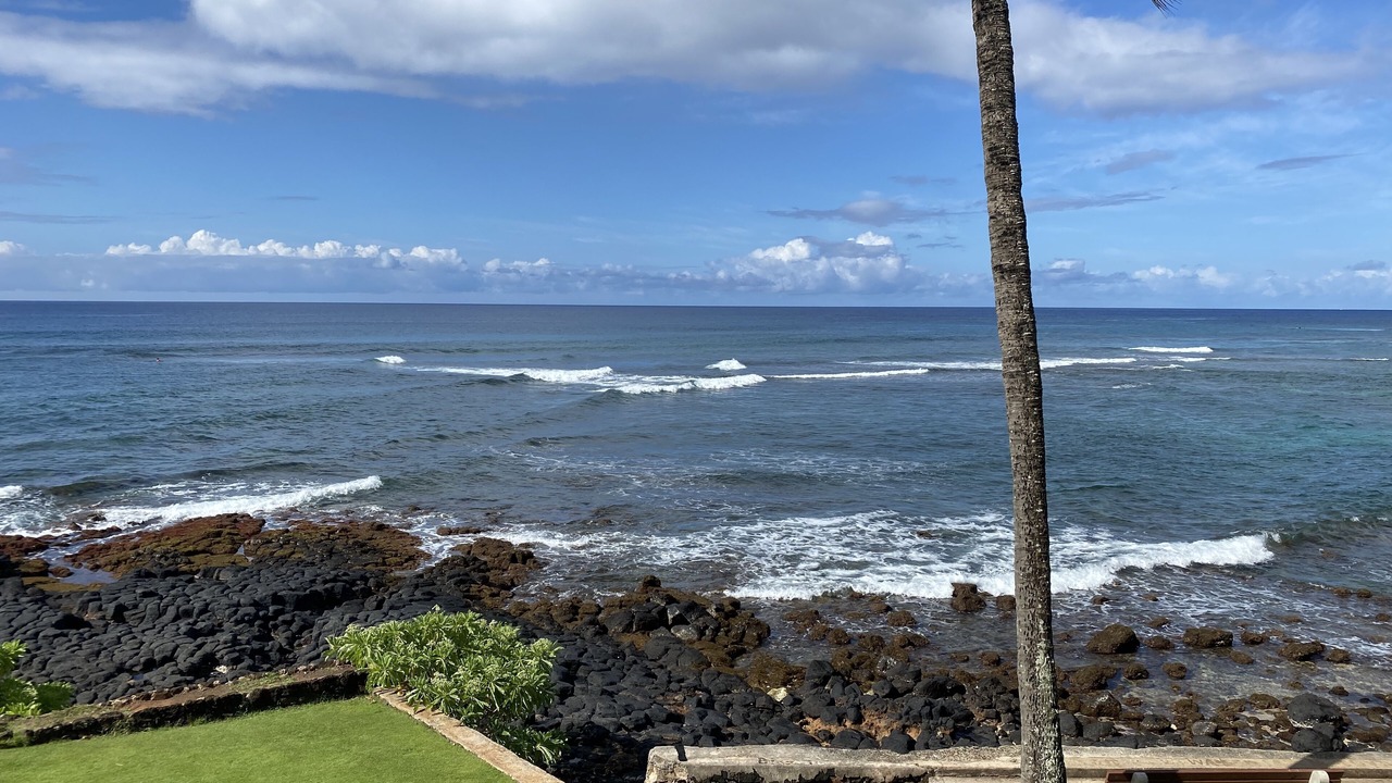 Photo of Others in Poipu