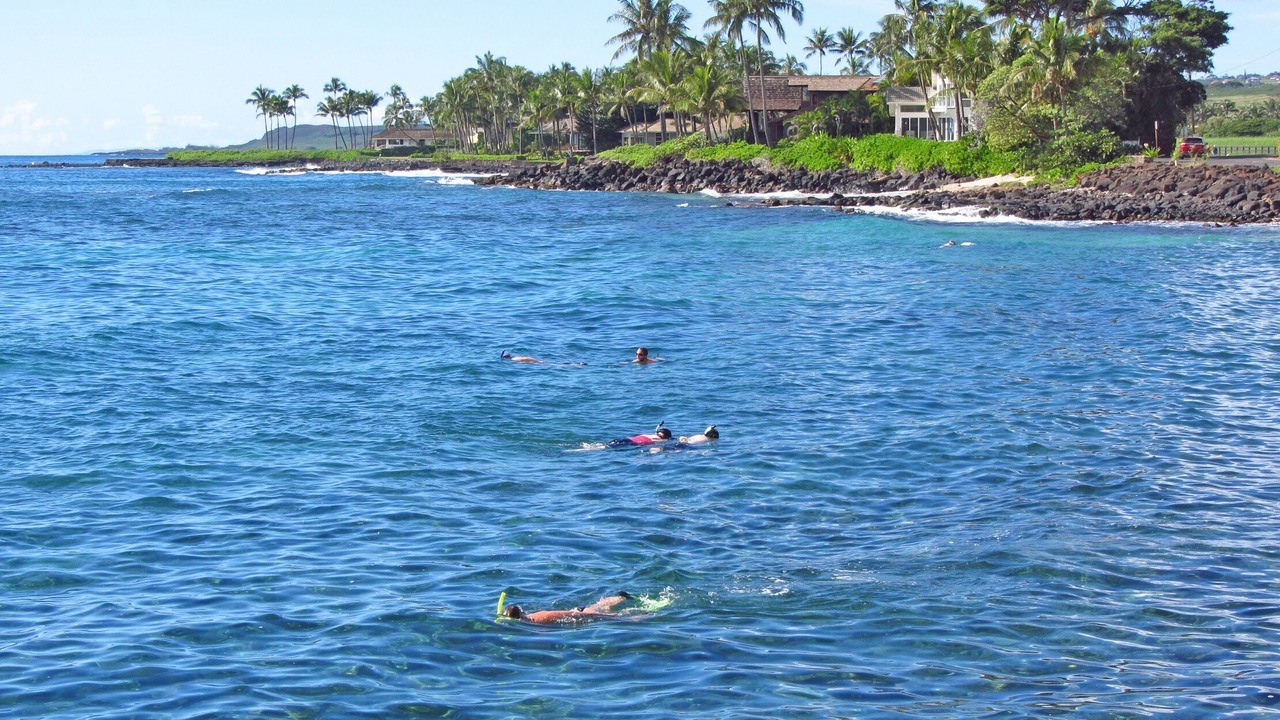 Photo of Others in Poipu