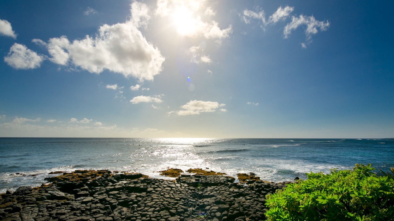 Photo of Others in Poipu