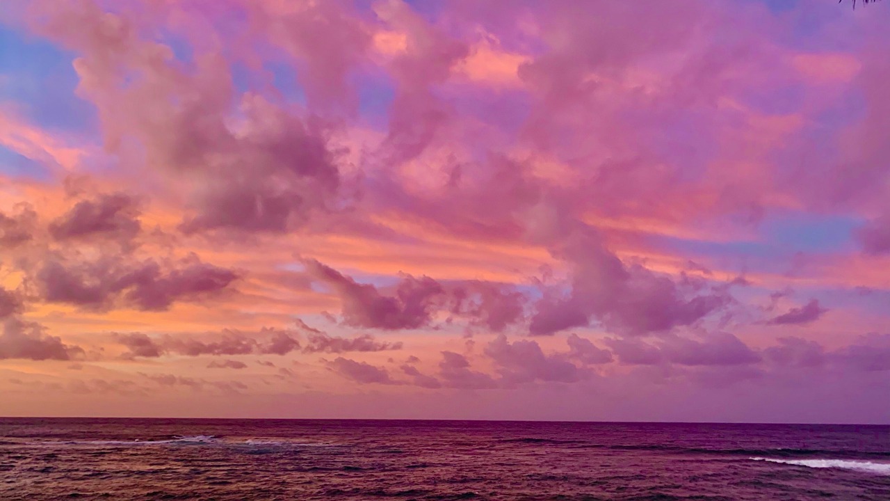 Photo of Others in Poipu