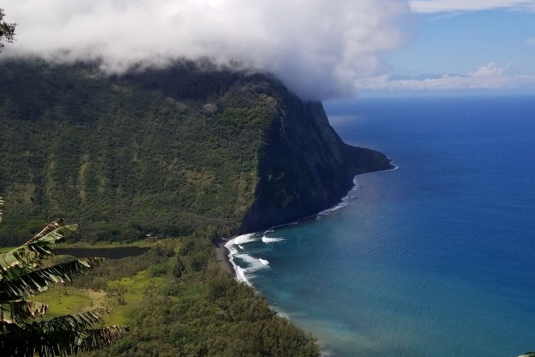 Photo of Others in Waipio