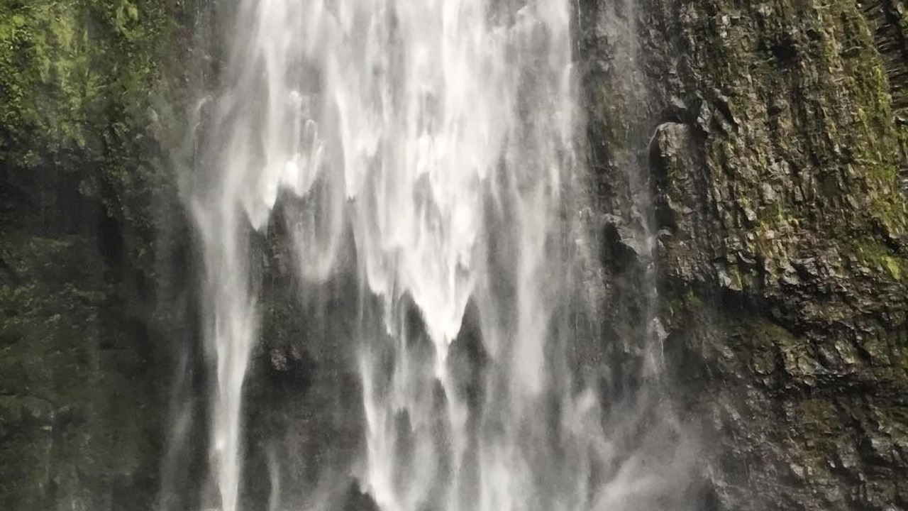 Photo of Others in Waipio