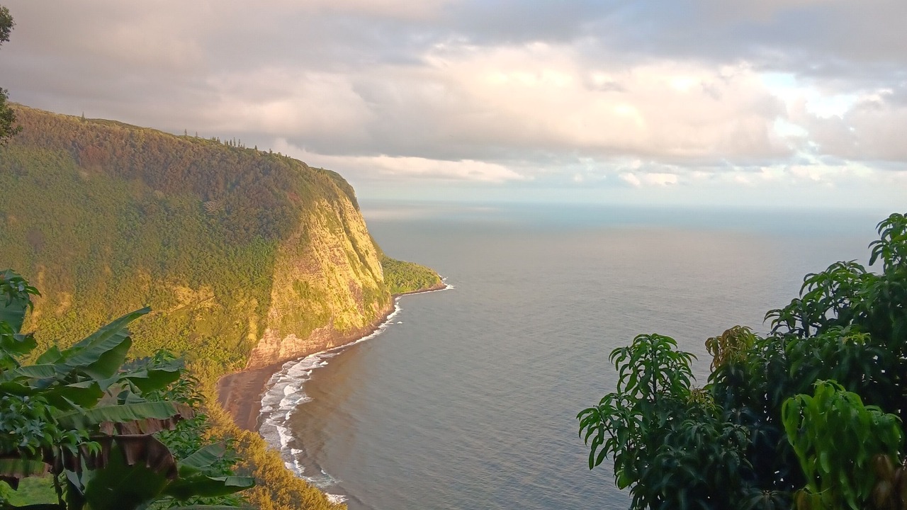 Photo of Others in Waipio