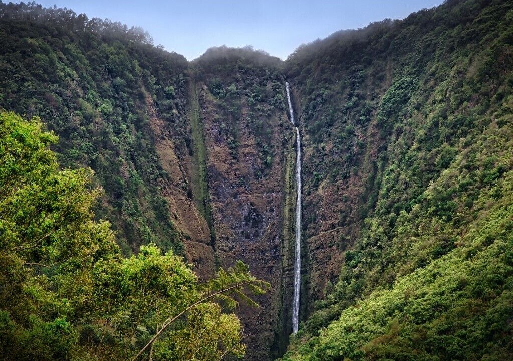 Photo of Others in Waipio