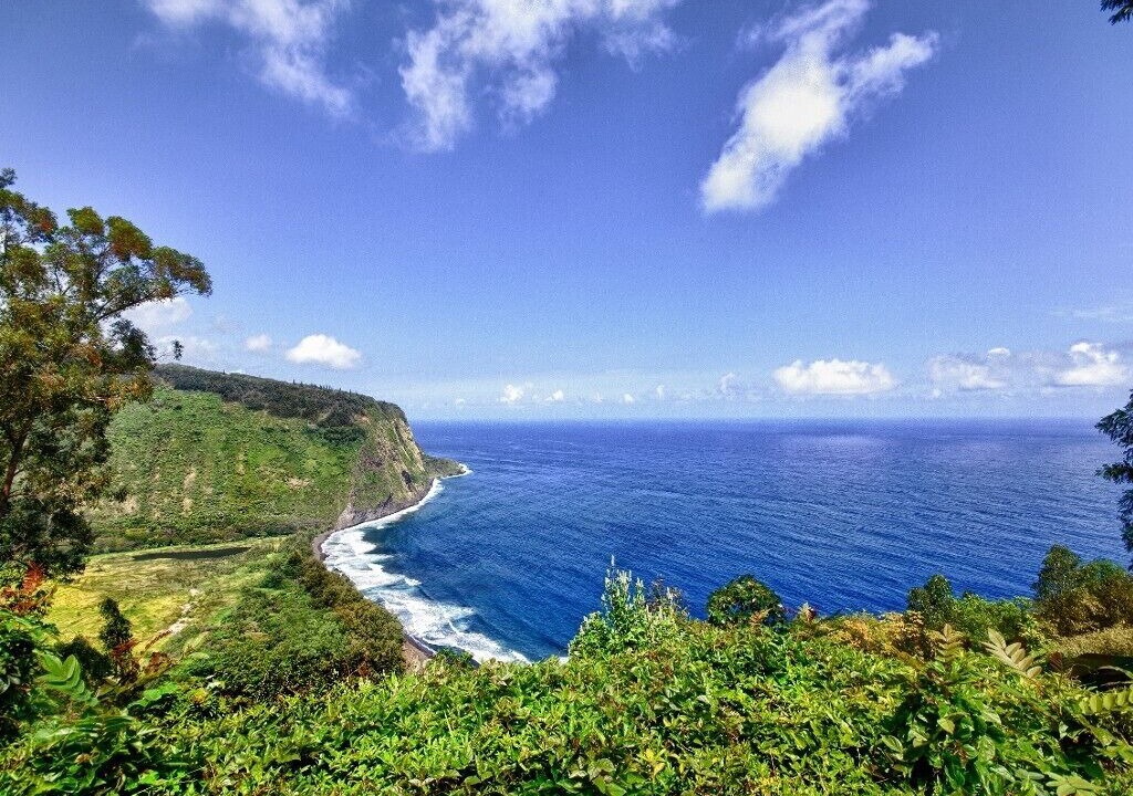 Photo of Others in Waipio