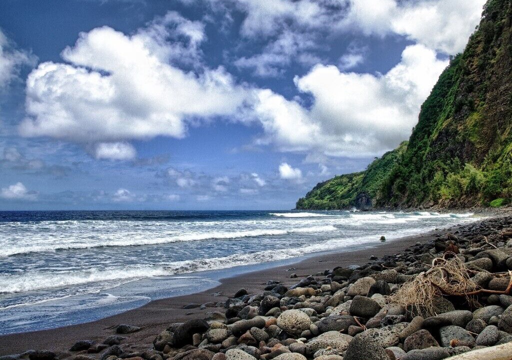 Photo of Others in Waipio