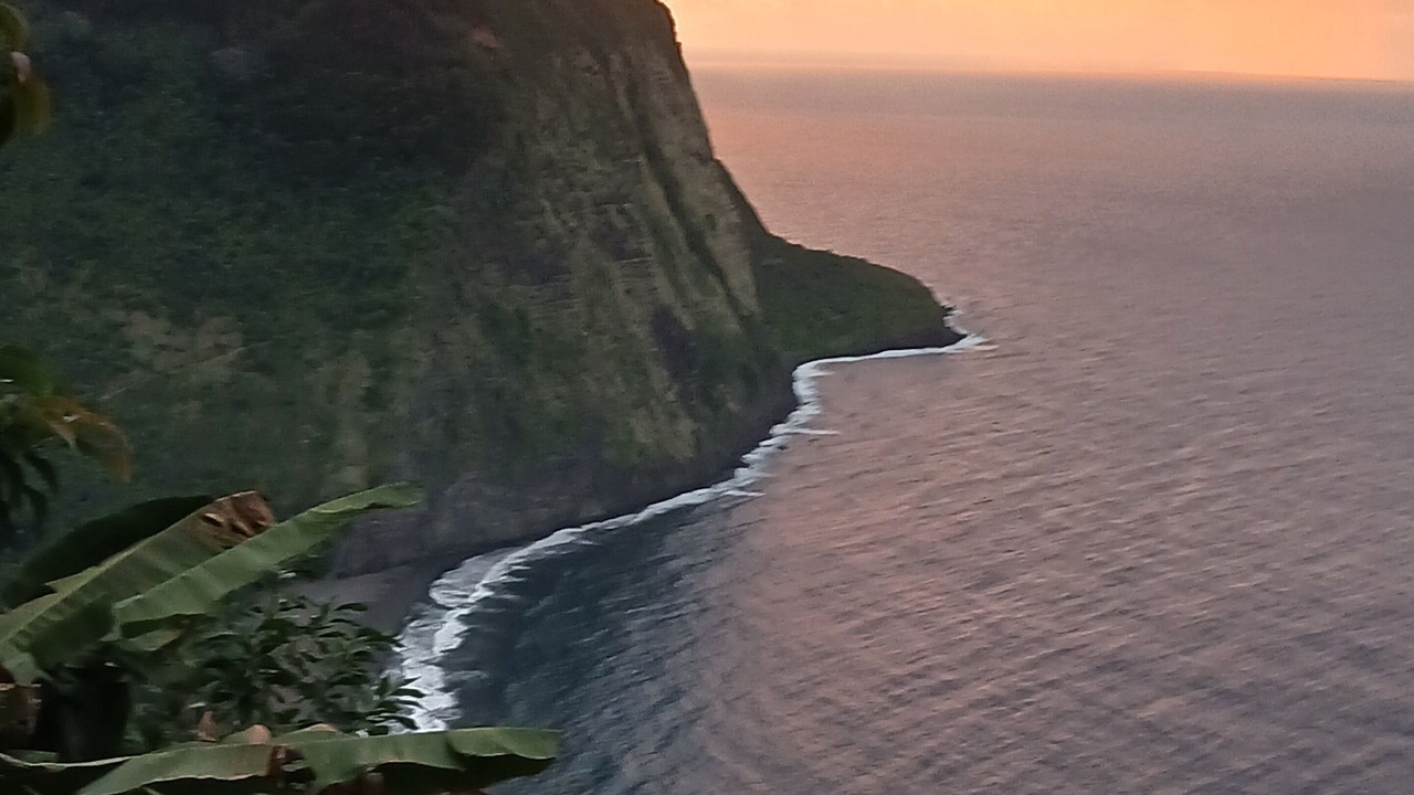 Photo of Others in Waipio