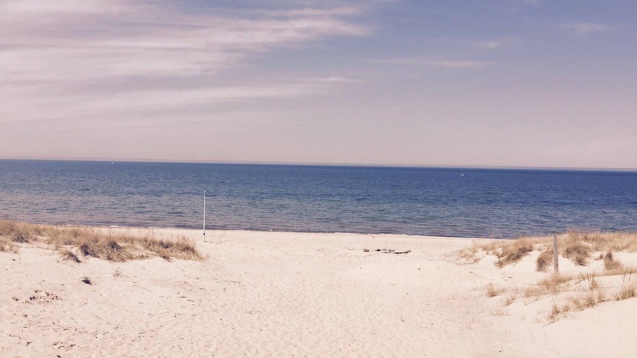Photo of Others in South Haven