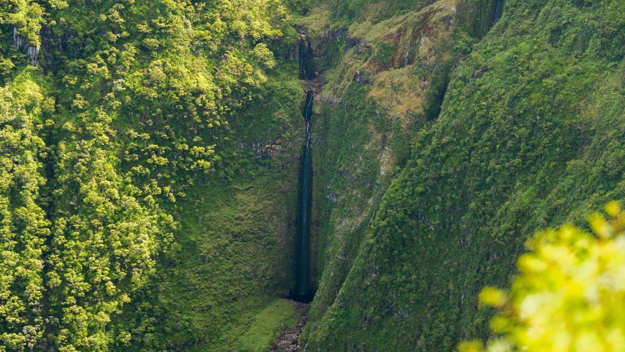 Photo of Others in Maunaloa