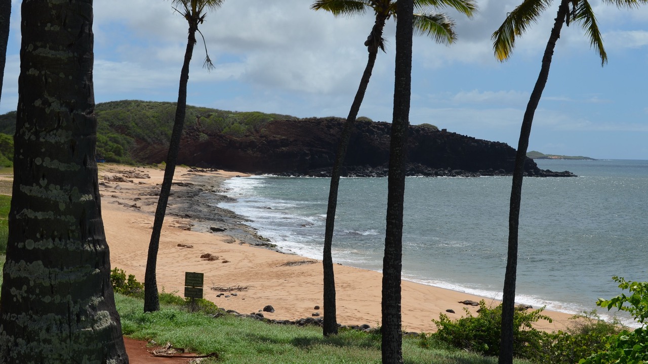 Photo of Others in Maunaloa