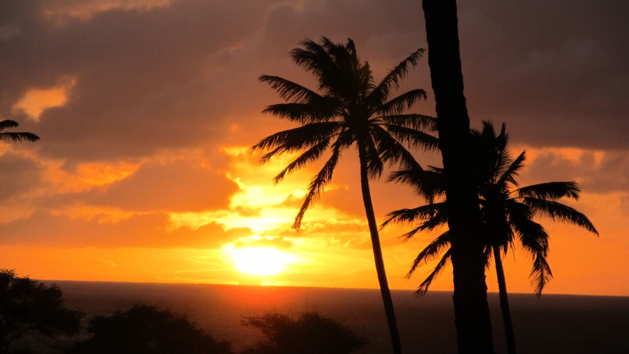 Photo of Others in Maunaloa