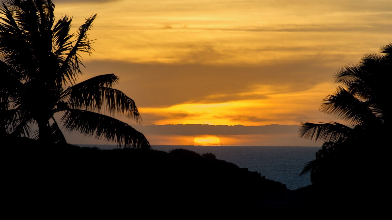 Photo of Others in Maunaloa