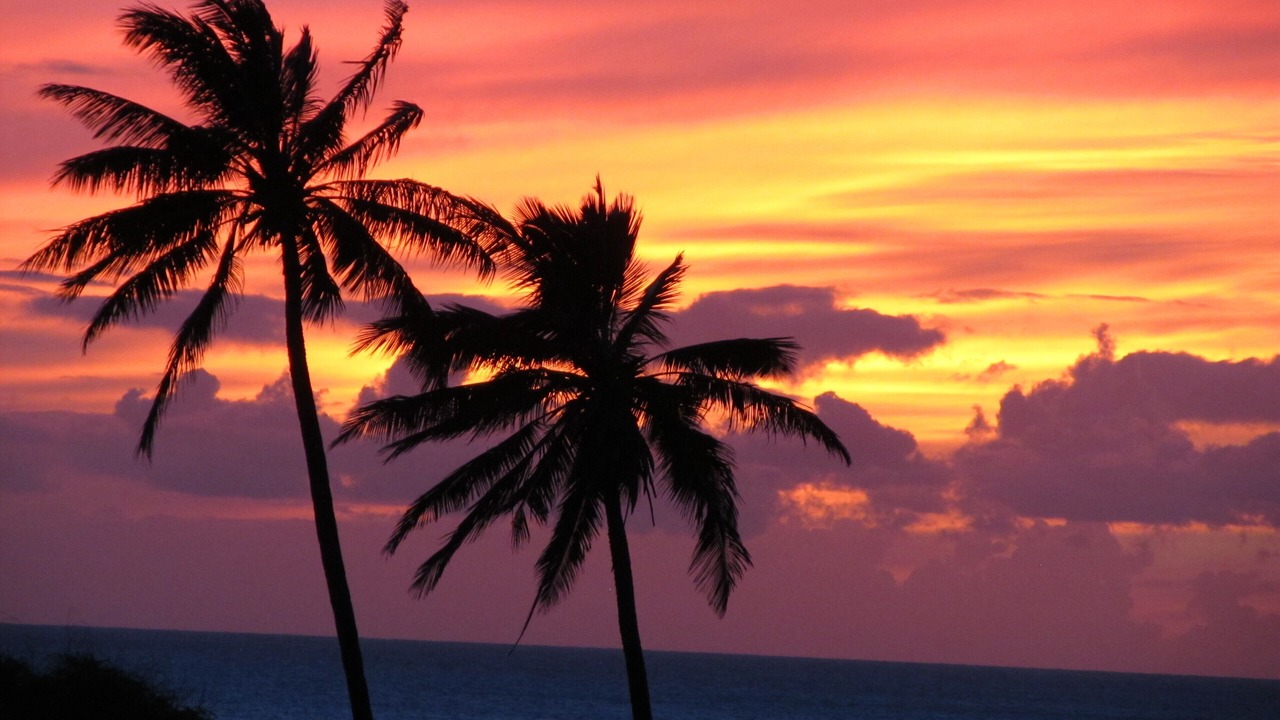 Photo of Others in Maunaloa