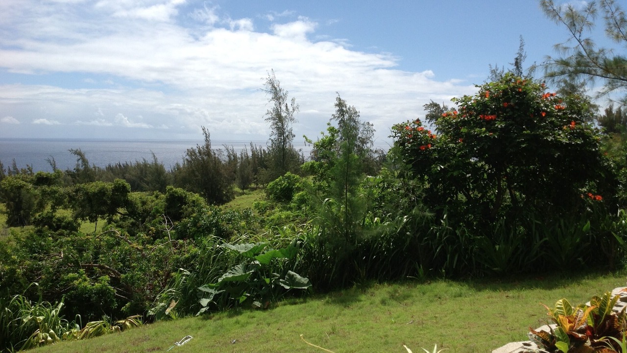 Photo of Outdoor in Honokaa